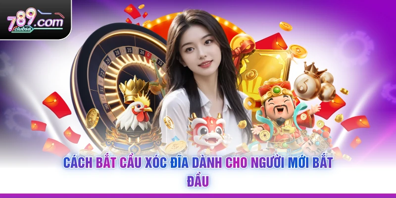 Cách Bắt Cầu Xóc Đĩa dành cho người mới bắt đầu