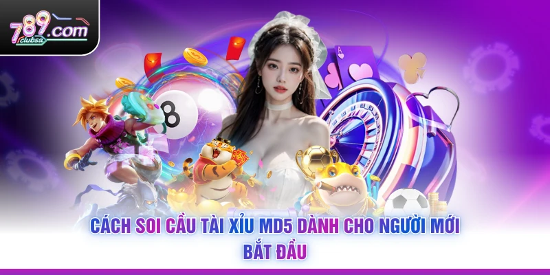 Cách Soi Cầu Tài Xỉu MD5 dành cho người mới bắt đầu
