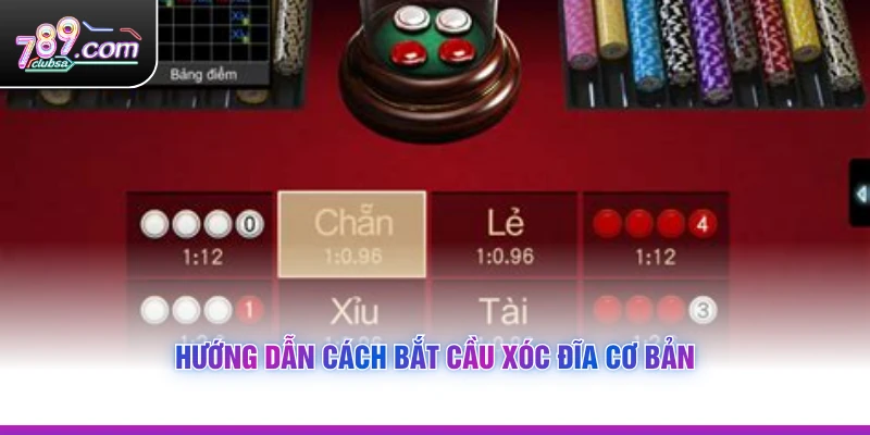 Hướng dẫn Cách Bắt Cầu Xóc Đĩa cơ bản