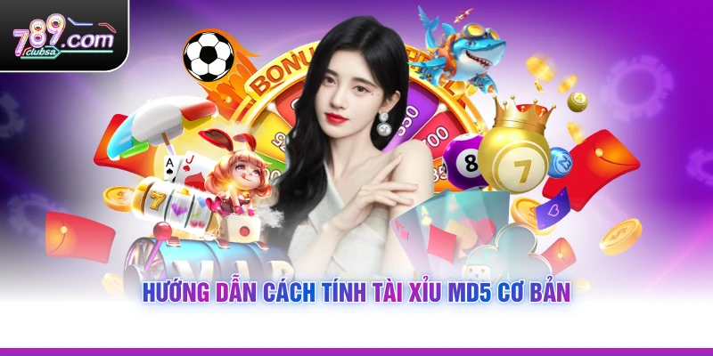 Hướng dẫn Cách Tính Tài Xỉu MD5 cơ bản