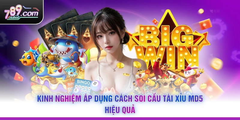 Kinh nghiệm áp dụng Cách Soi Cầu Tài Xỉu MD5 hiệu quả